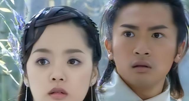 蔡琳高梓淇离婚_蔡琳婚礼图片_蔡琳容貌变化